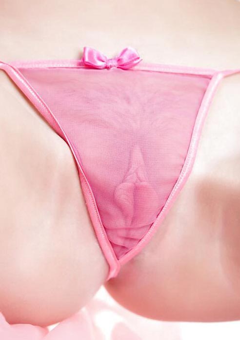 Pussy in sheer pink panties